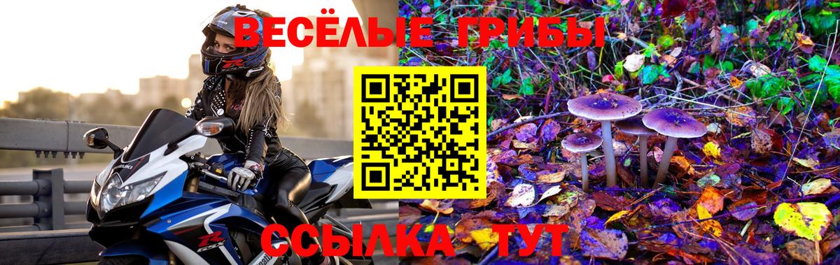 Псилоцибиновые грибы прущие грибы  Галлюциногенные грибы ЛСД  Кисловодск  цена наркотик  Вход с VPN 