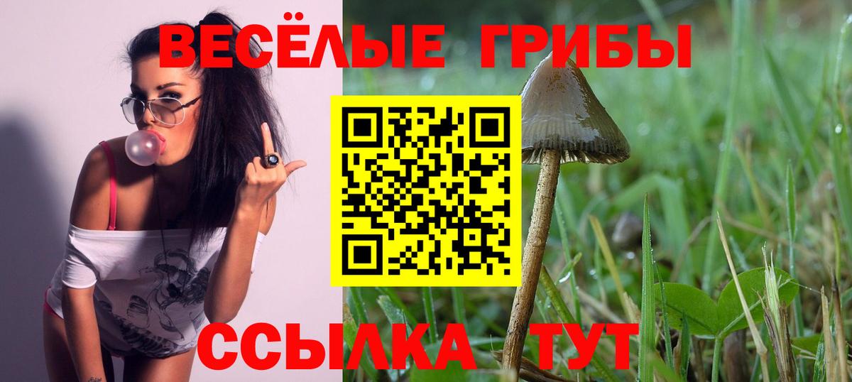 Псилоцибиновые грибы ЛСД Кисловодск